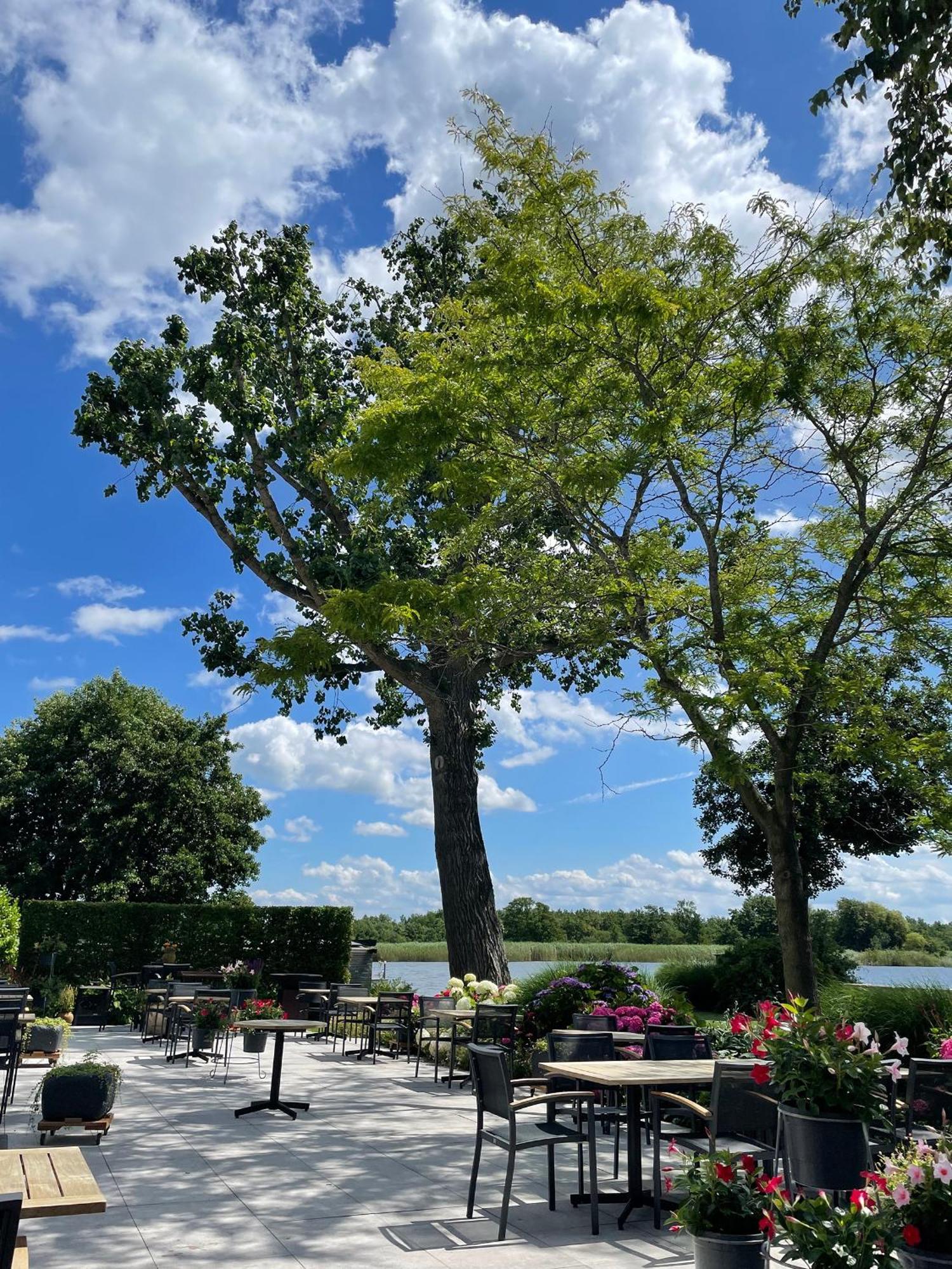 Restaurant-Hotel De Watergeus Noorden Luaran gambar